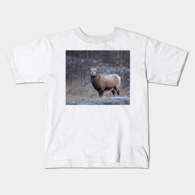 Rutting Ram Kids T-Shirt by StevenElliot
